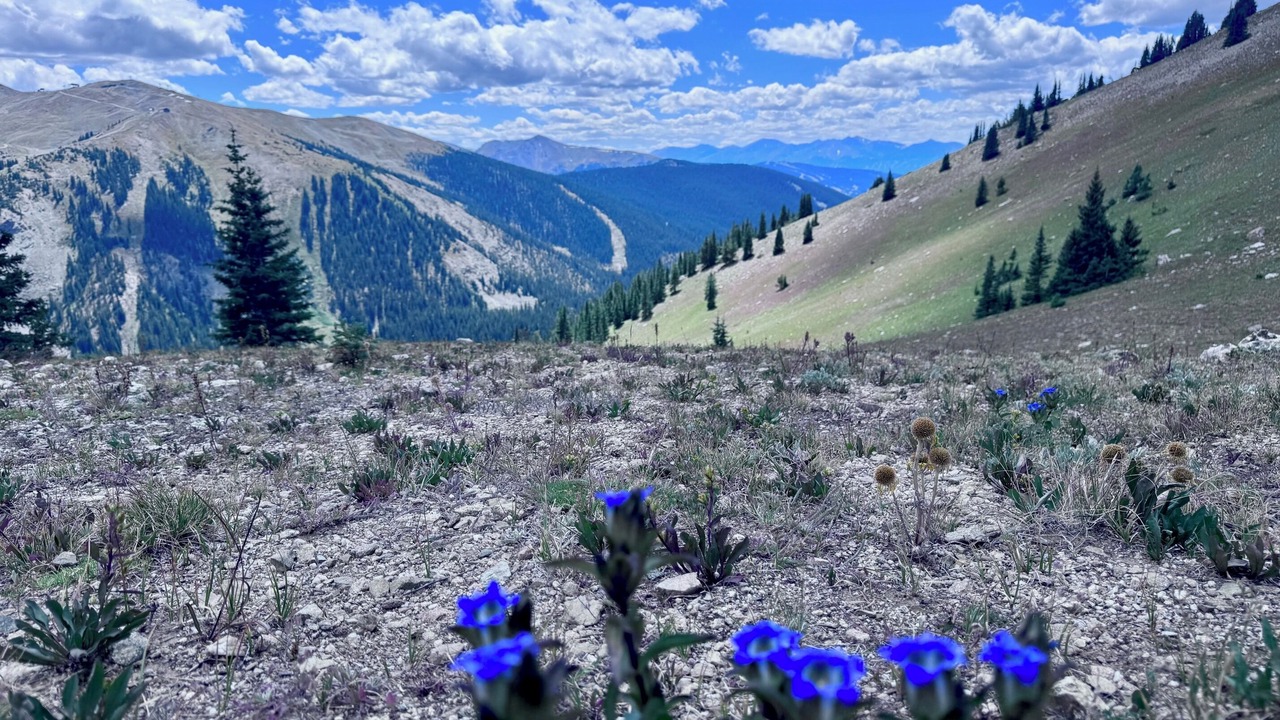 Photo of Others in Dillon