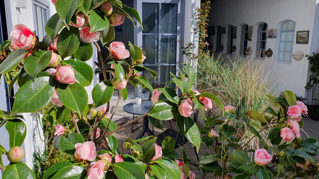 Photo of Outdoor in Kappeln