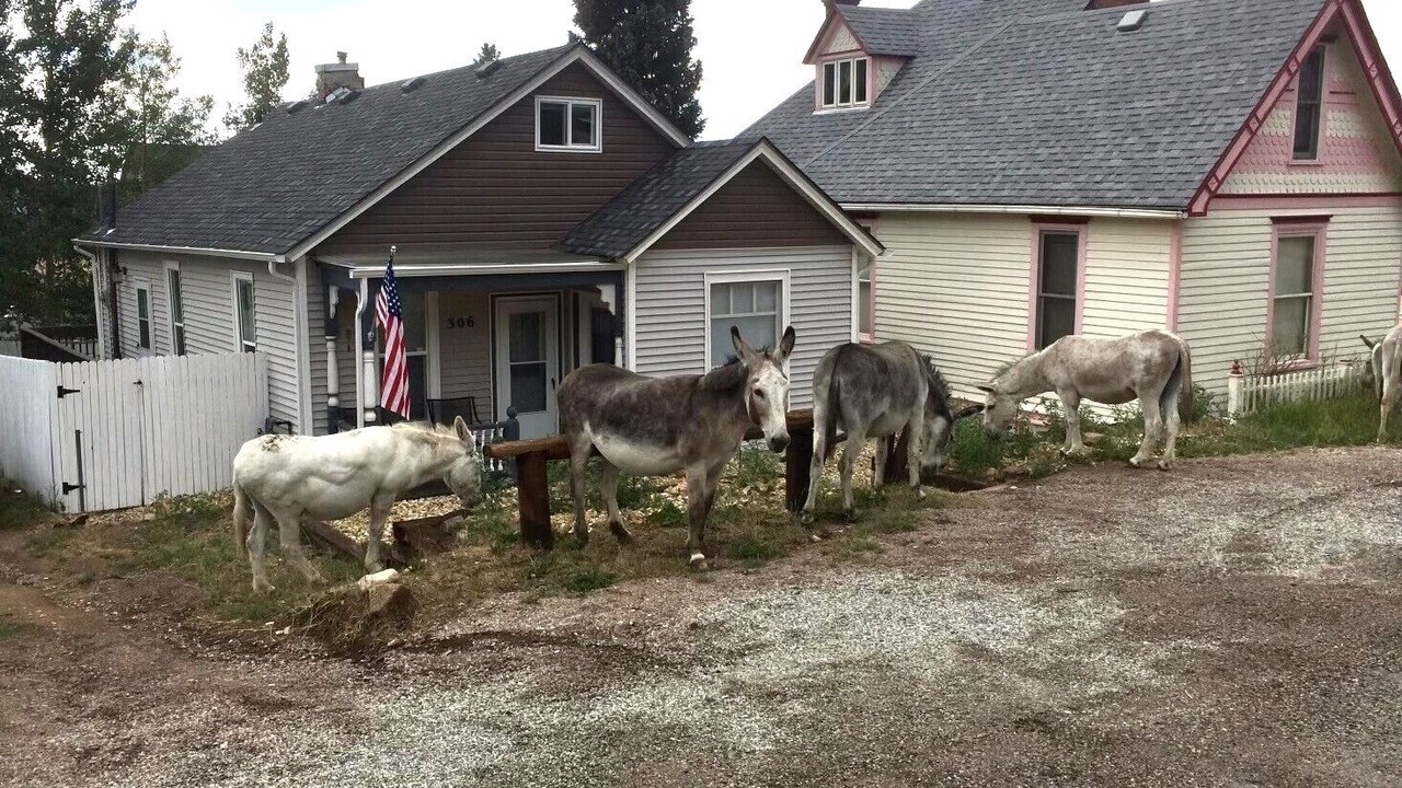 Photo of Outdoor in Cripple Creek