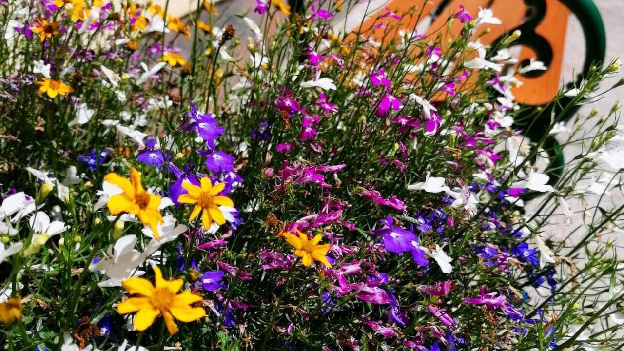 Photo of Outdoor in Ottakring