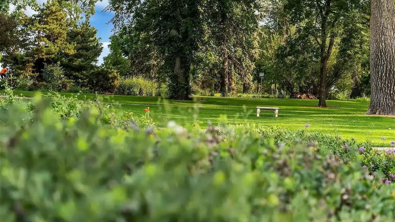 Photo of Others in Washington Park West