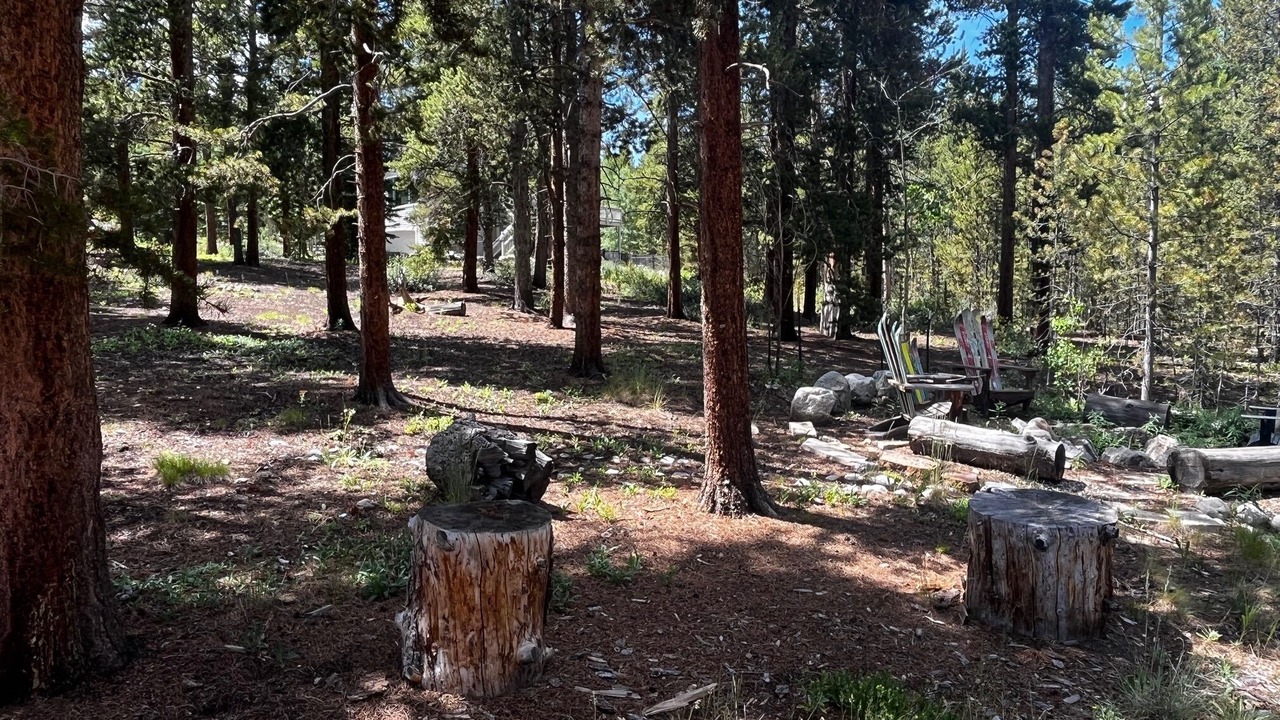 Photo of Outdoor in Winterwood