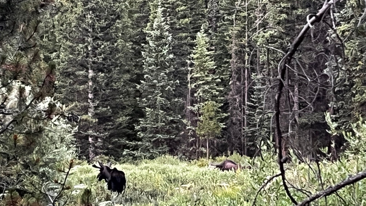 Photo of Others in Winterwood