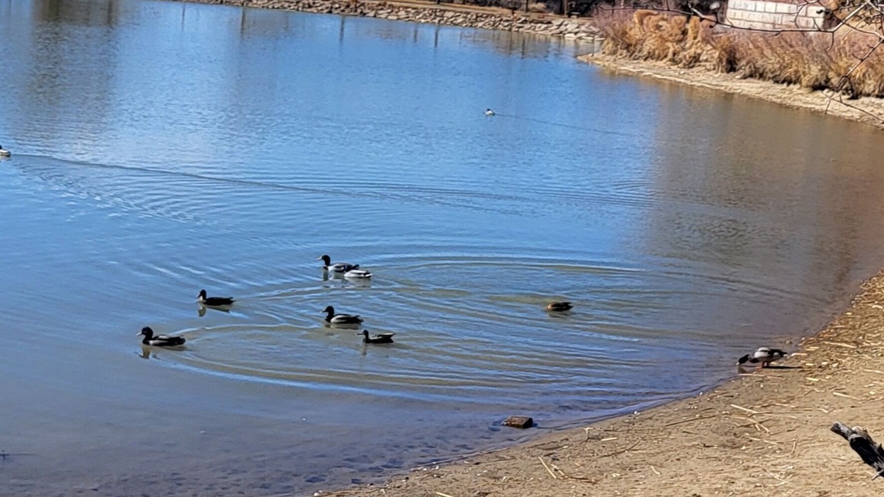 Photo of Outdoor in Grand Junction