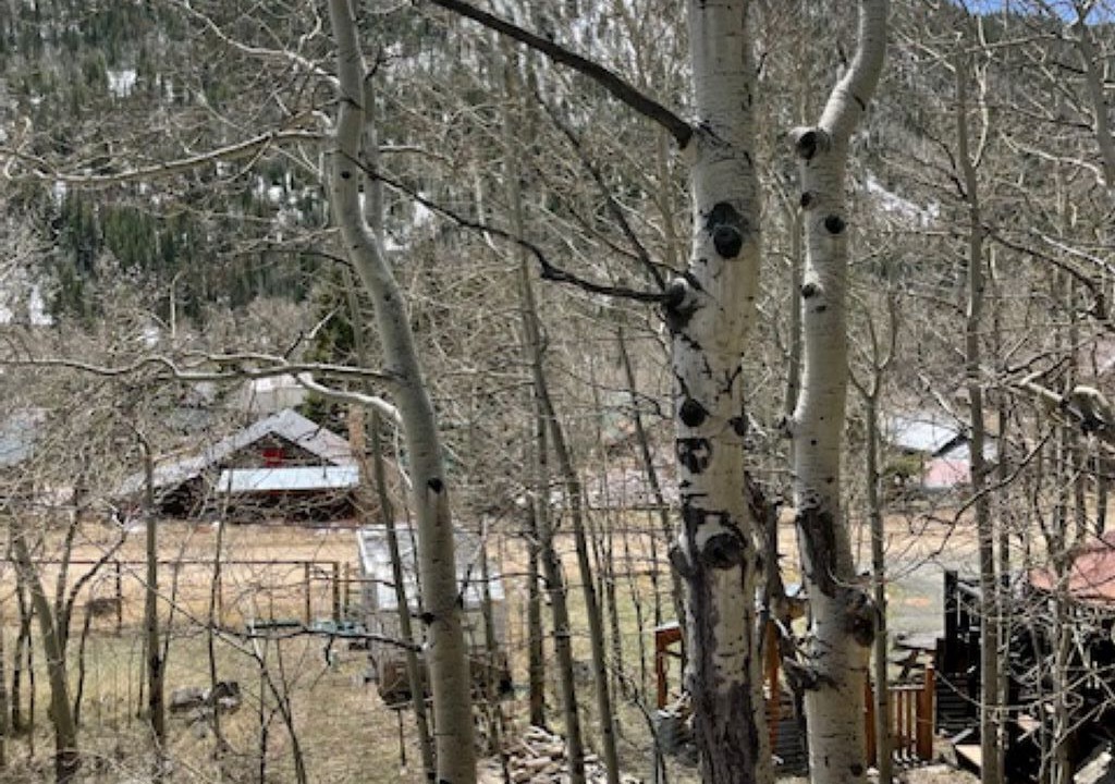Photo of Outdoor in Eldora