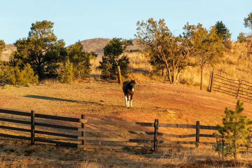 Photo of Others in West Colorado Springs