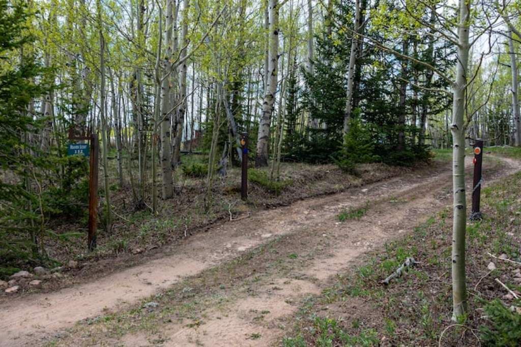 Photo of Others in Michigan Hill