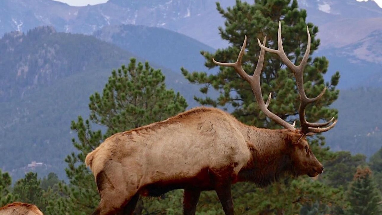 Photo of Others in Estes Park