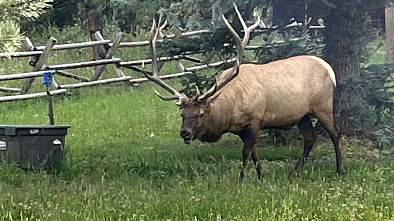 Photo of Bedroom in Estes Park