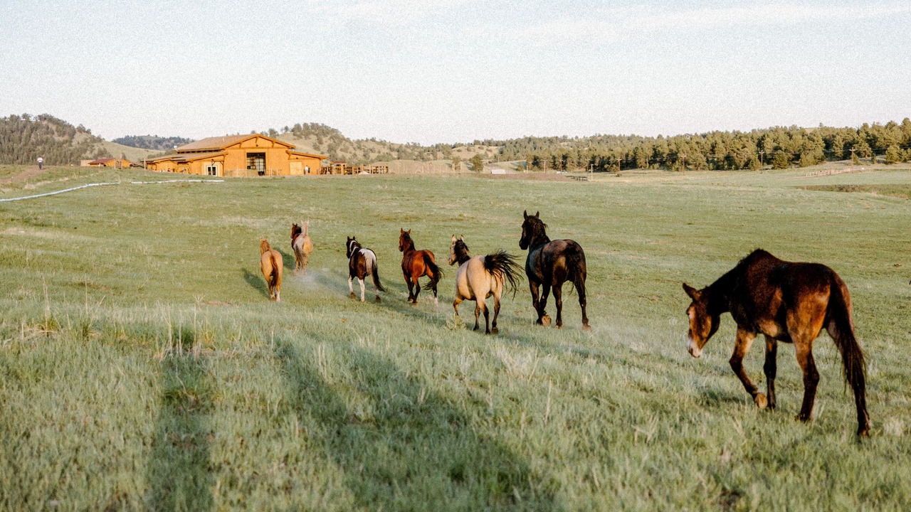 Photo of Others in Park County