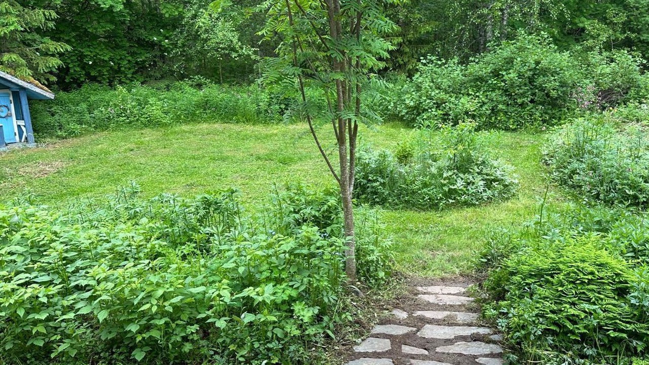 Photo of Outdoor in Haapavesi
