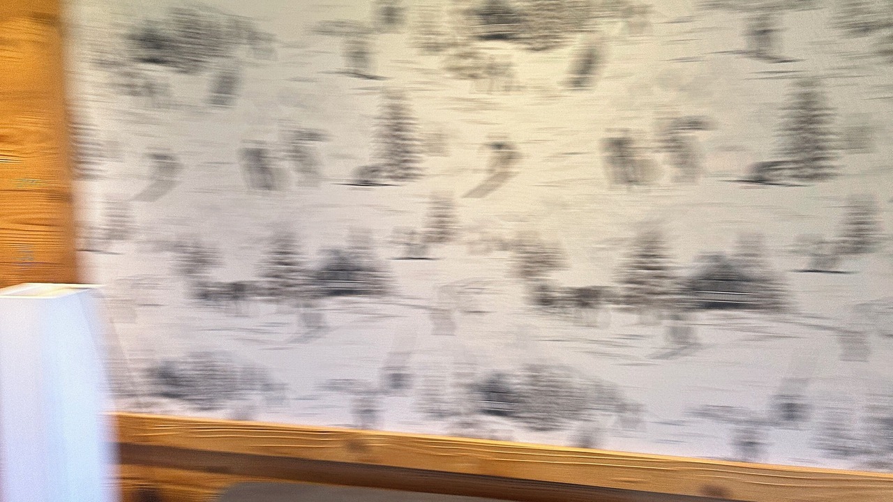 Photo of Livingroom in Demi-Quartier