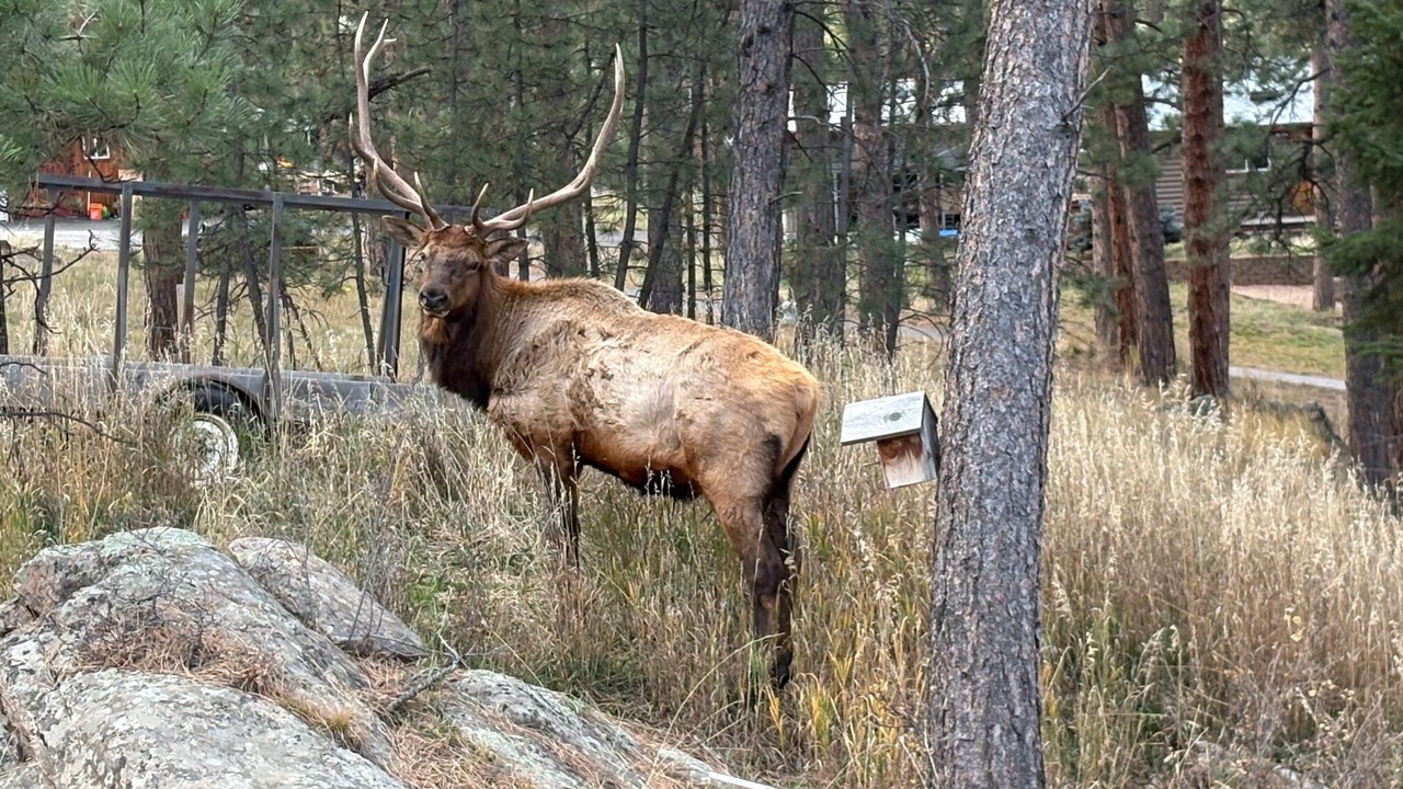 Photo of Others in Indian Hills