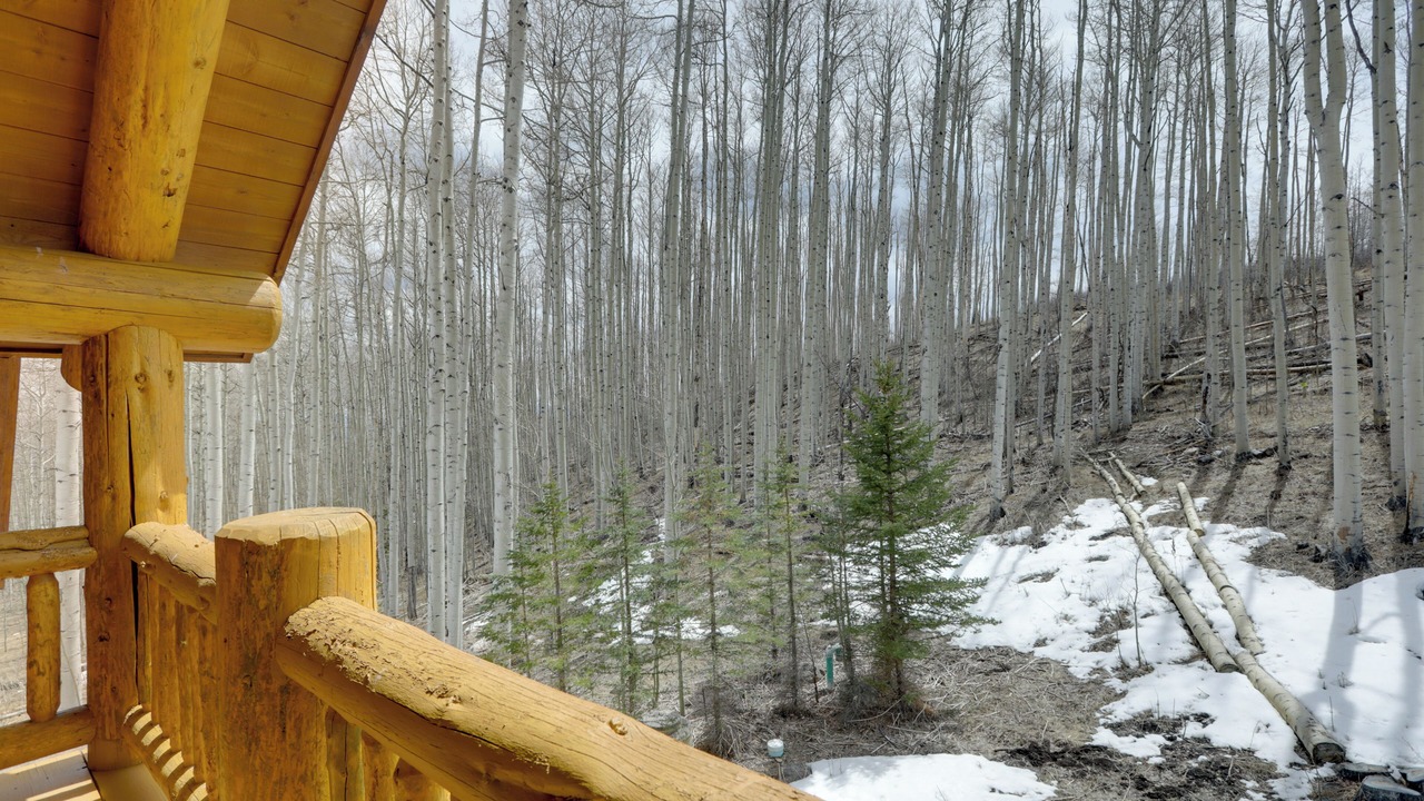 Photo of Outdoor in Gypsum
