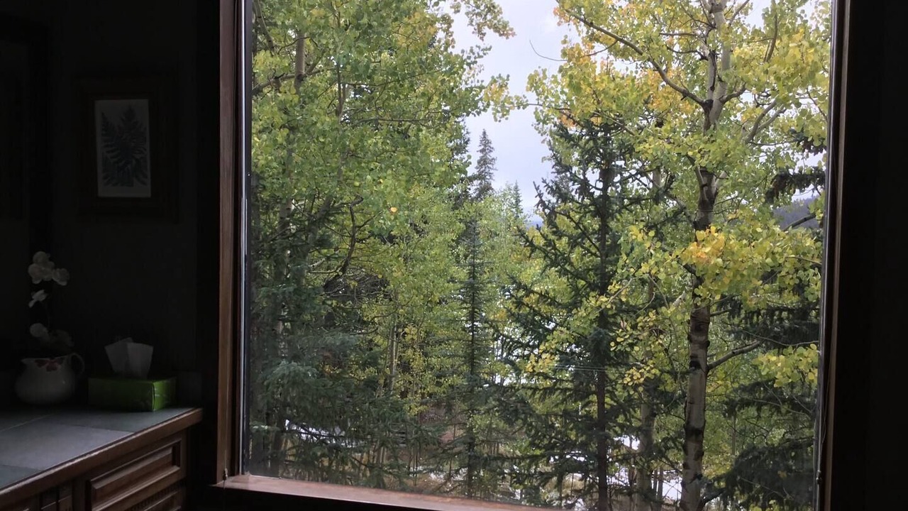 Photo of Others in Alma