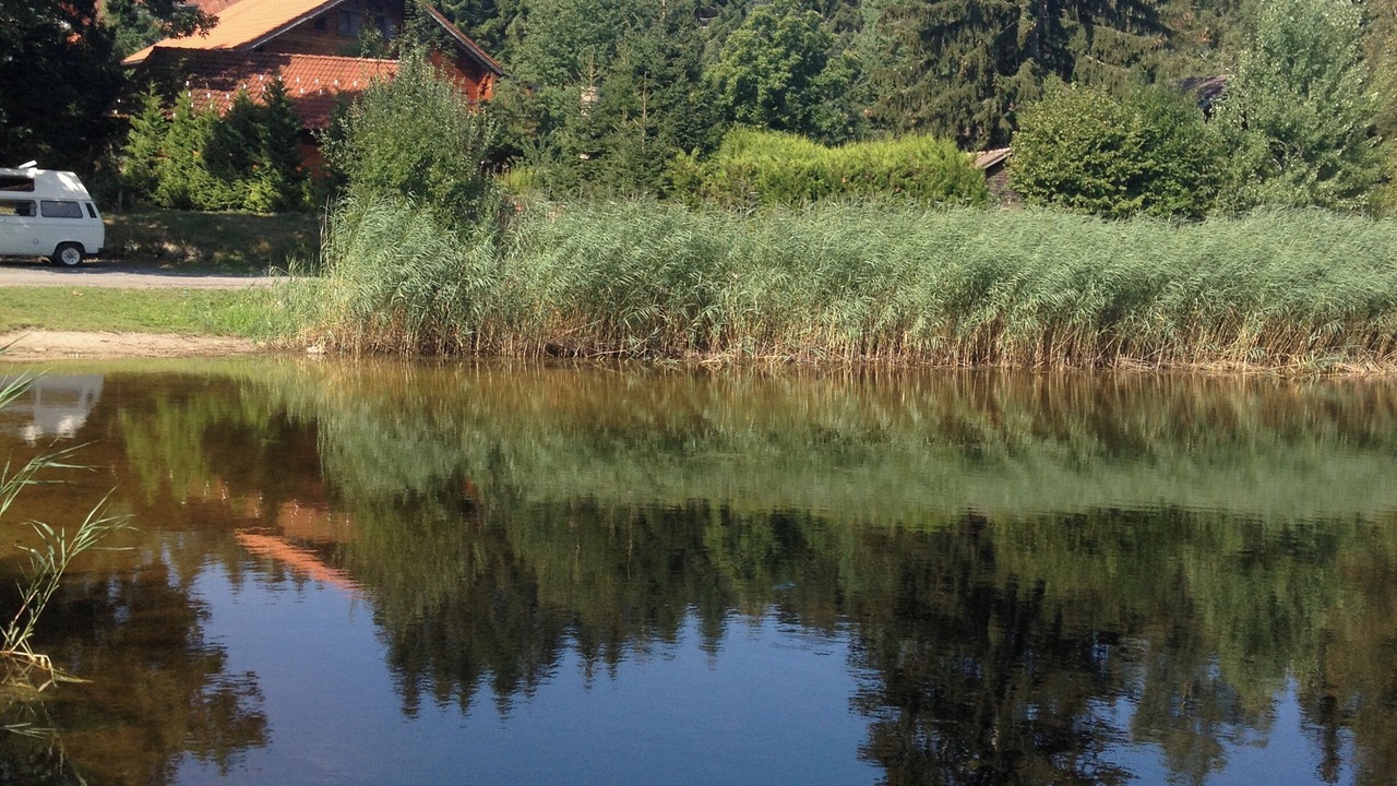 Photo of Others in Hierholz