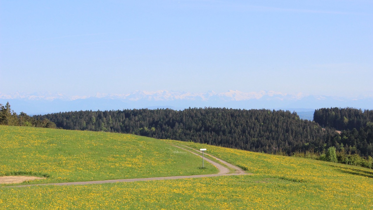 Photo of Others in Hierholz