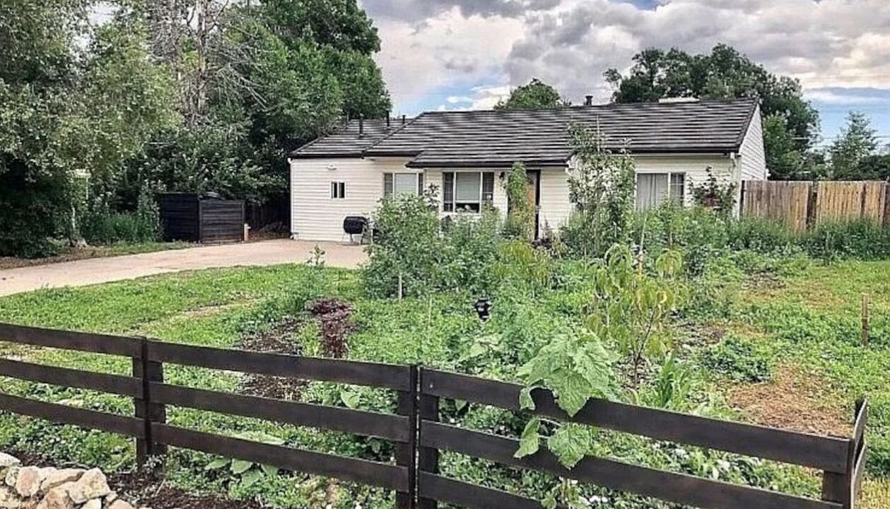 Photo of Outdoor in University Hills