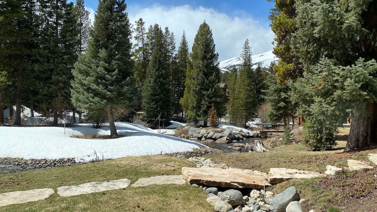 Photo of Outdoor in Warrior's Mark