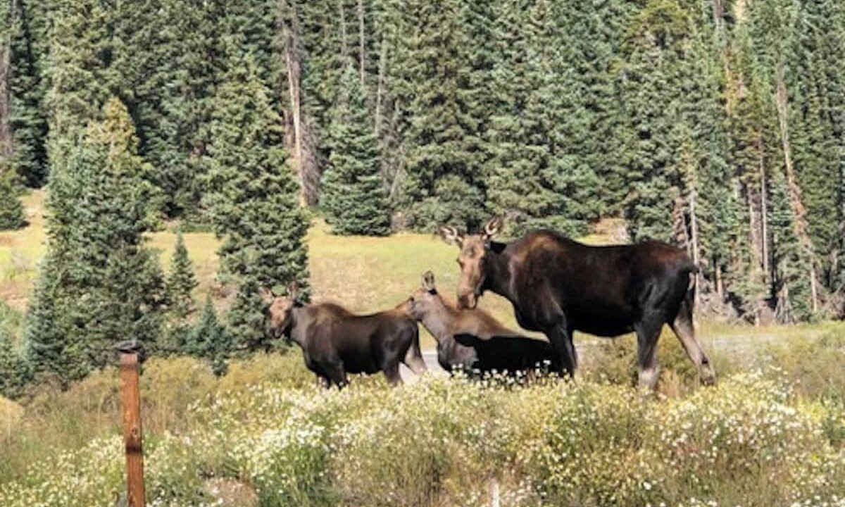 Photo of Outdoor in Breckenridge