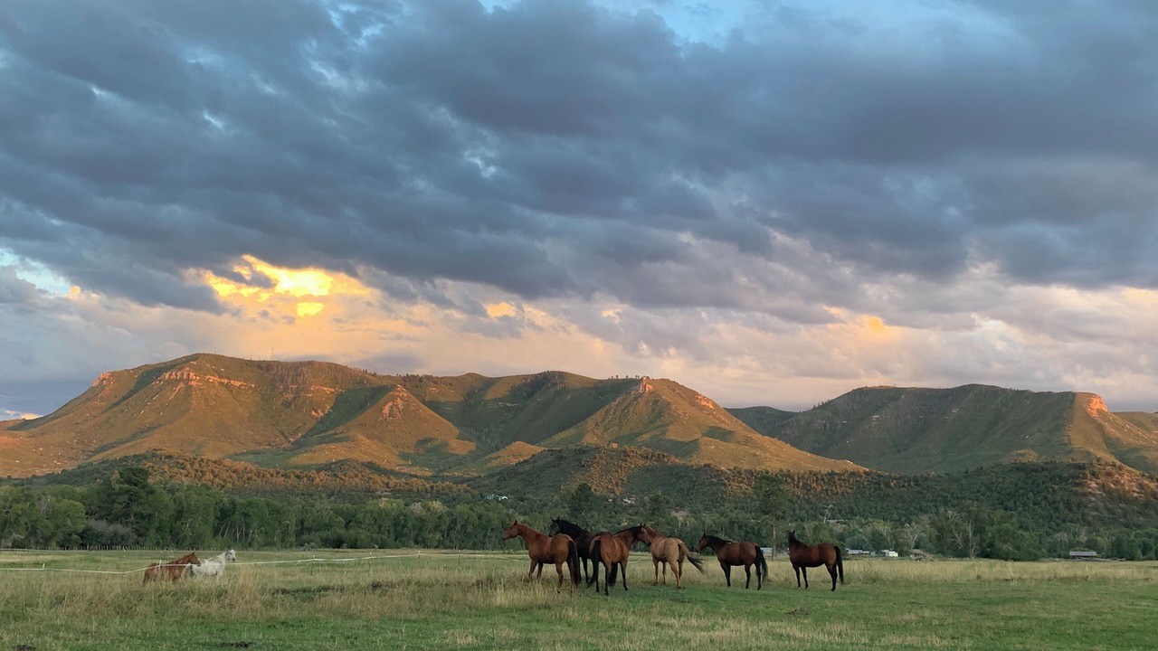 Photo of Others in Mancos