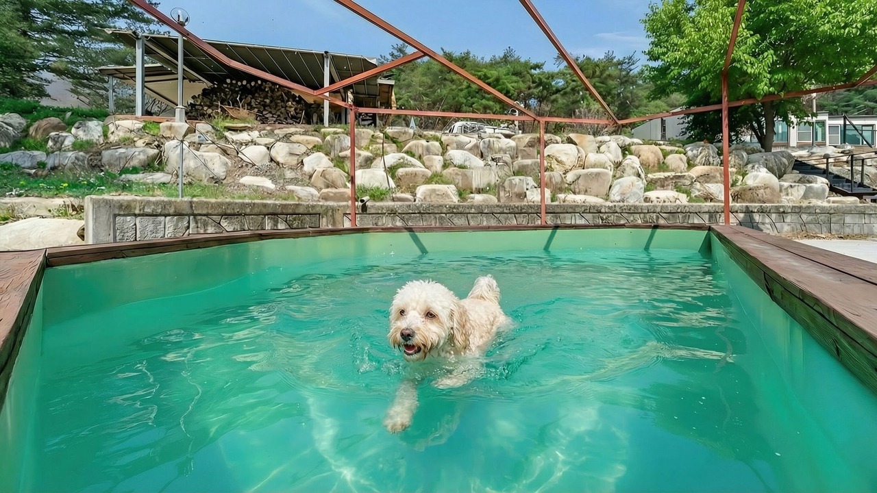 Photo of Outdoor in Yeongwol