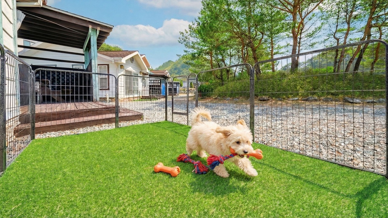Photo of Outdoor in Yeongwol