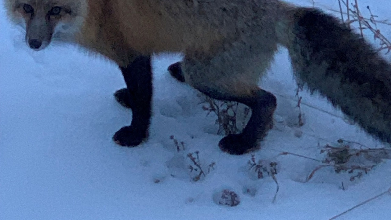 Photo of Others in Grand Lake