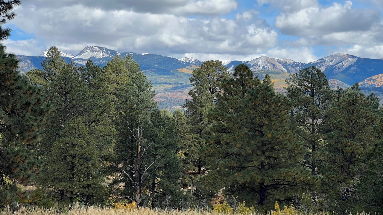 Photo of Others in Mancos