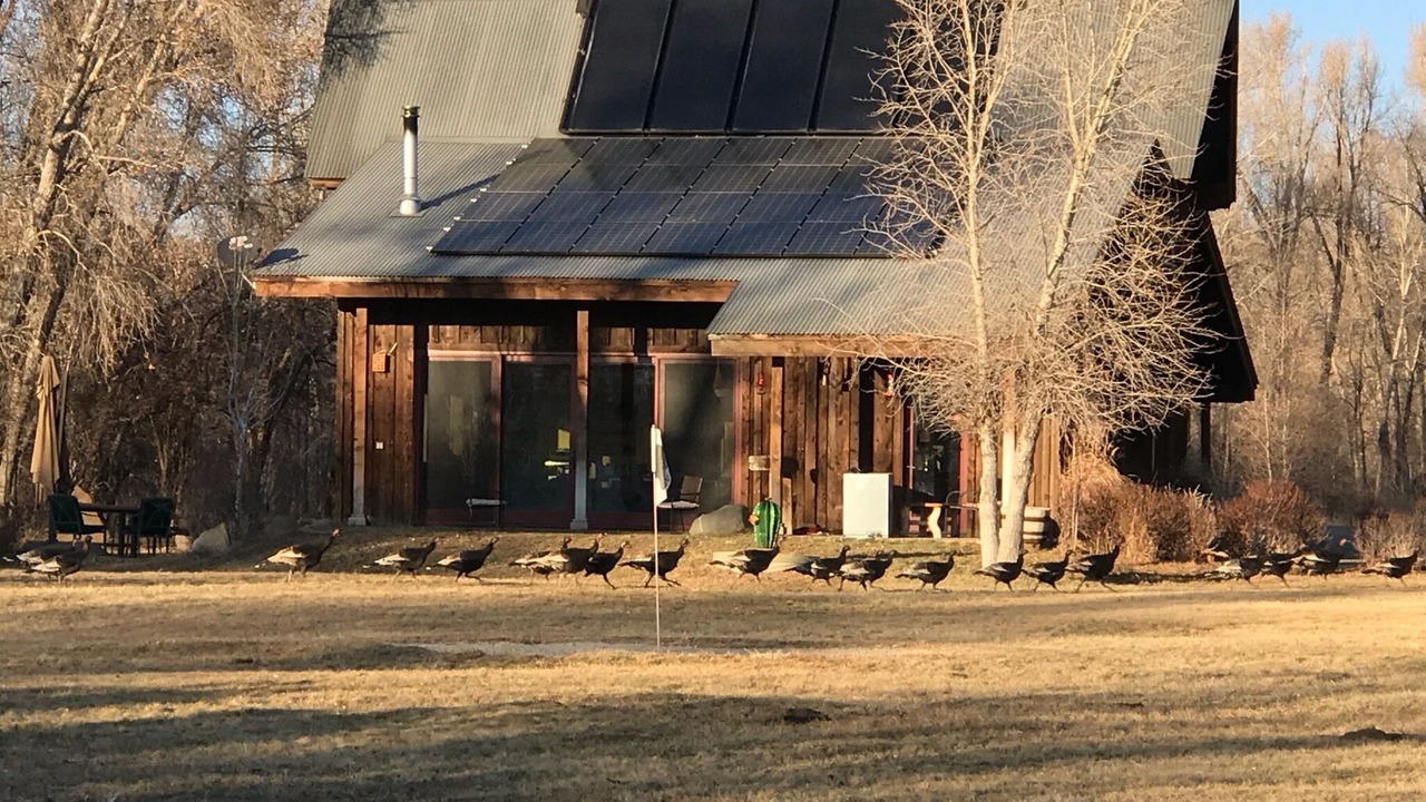 Photo of Outdoor in Mancos