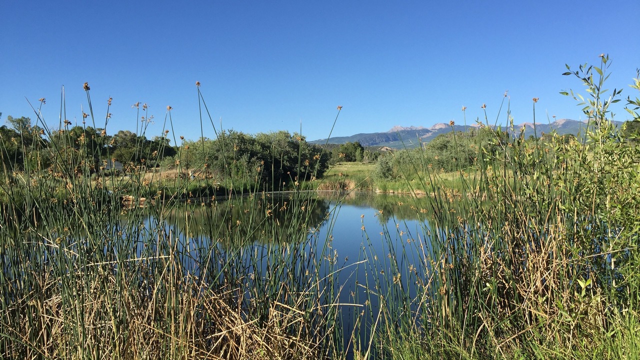 Photo of Others in Mancos