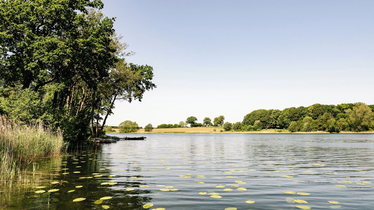 Photo of Others in Ponitz am See