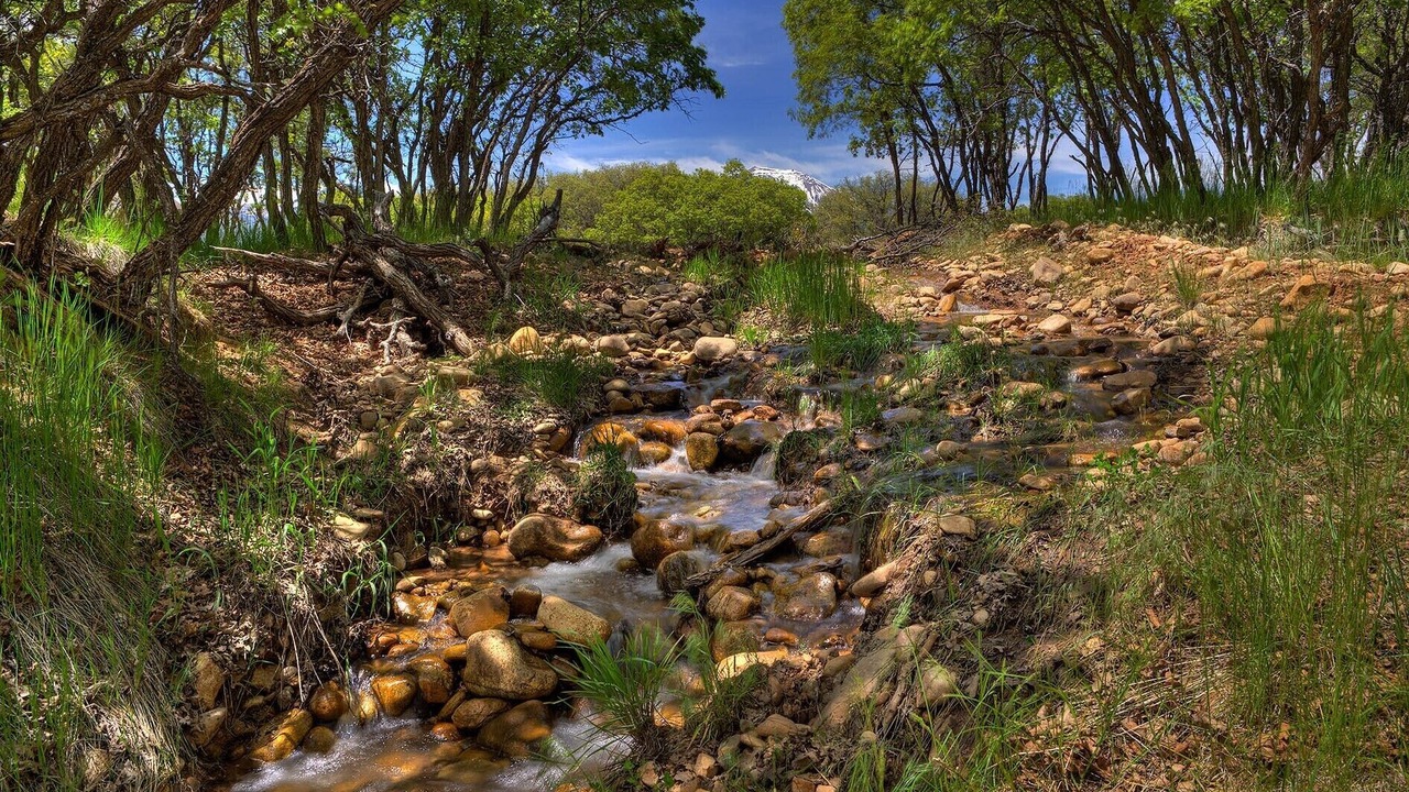 Photo of Others in La Sal