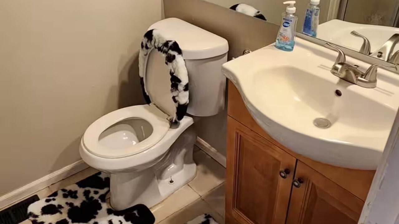 Photo of Bathroom in Prides Crossing