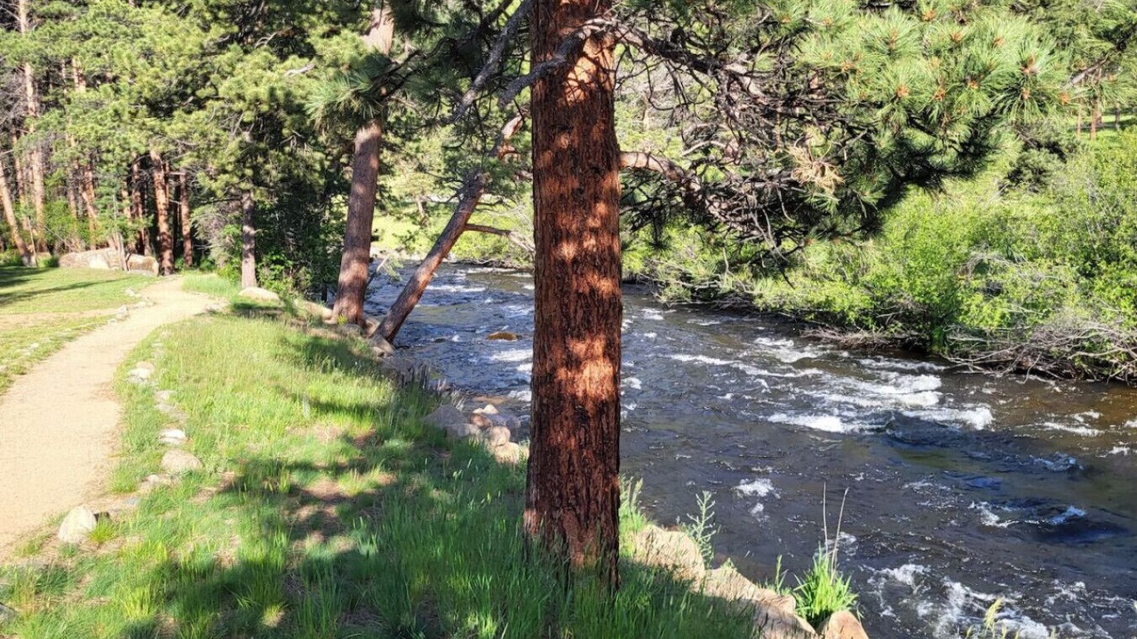 Photo of Others in Estes Park