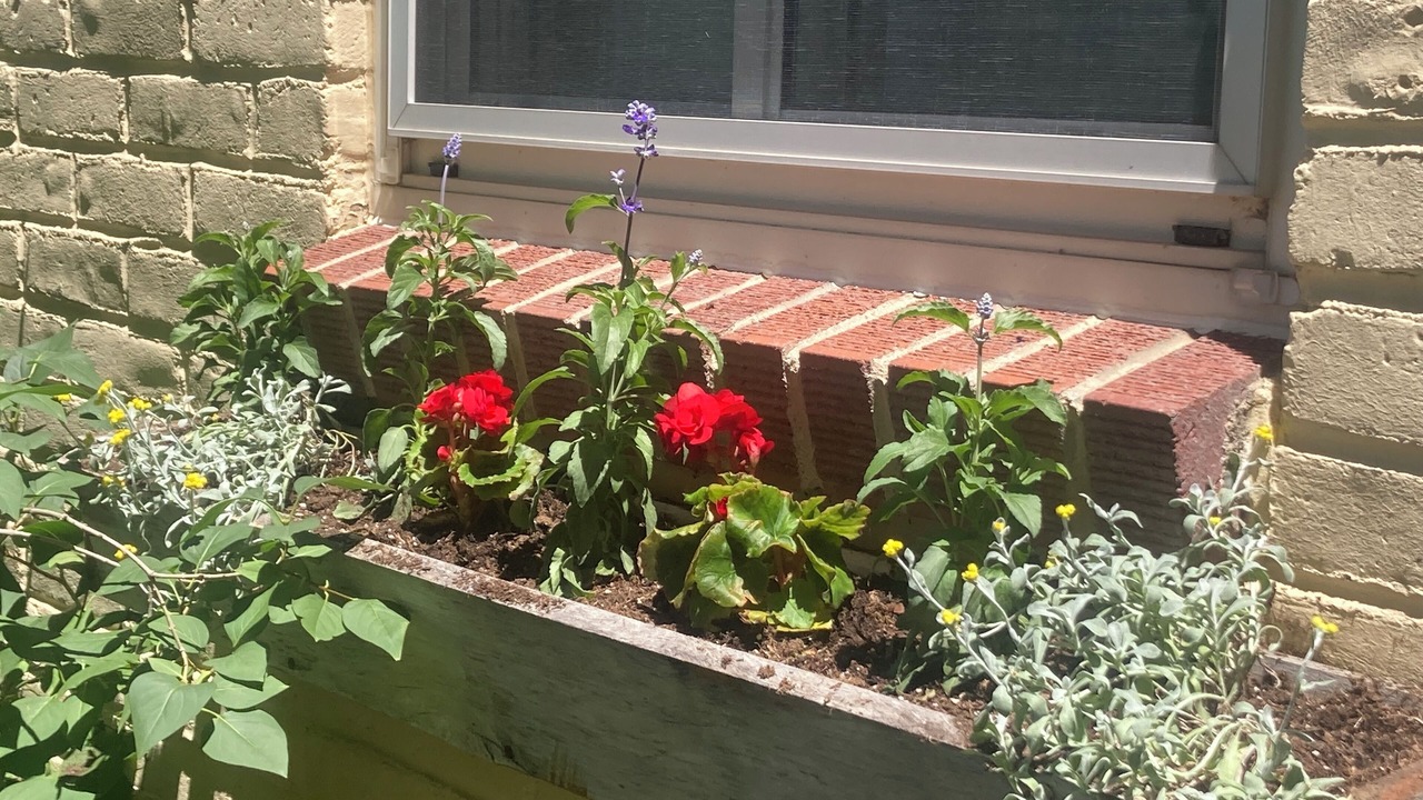 Photo of Outdoor in North Park Hill