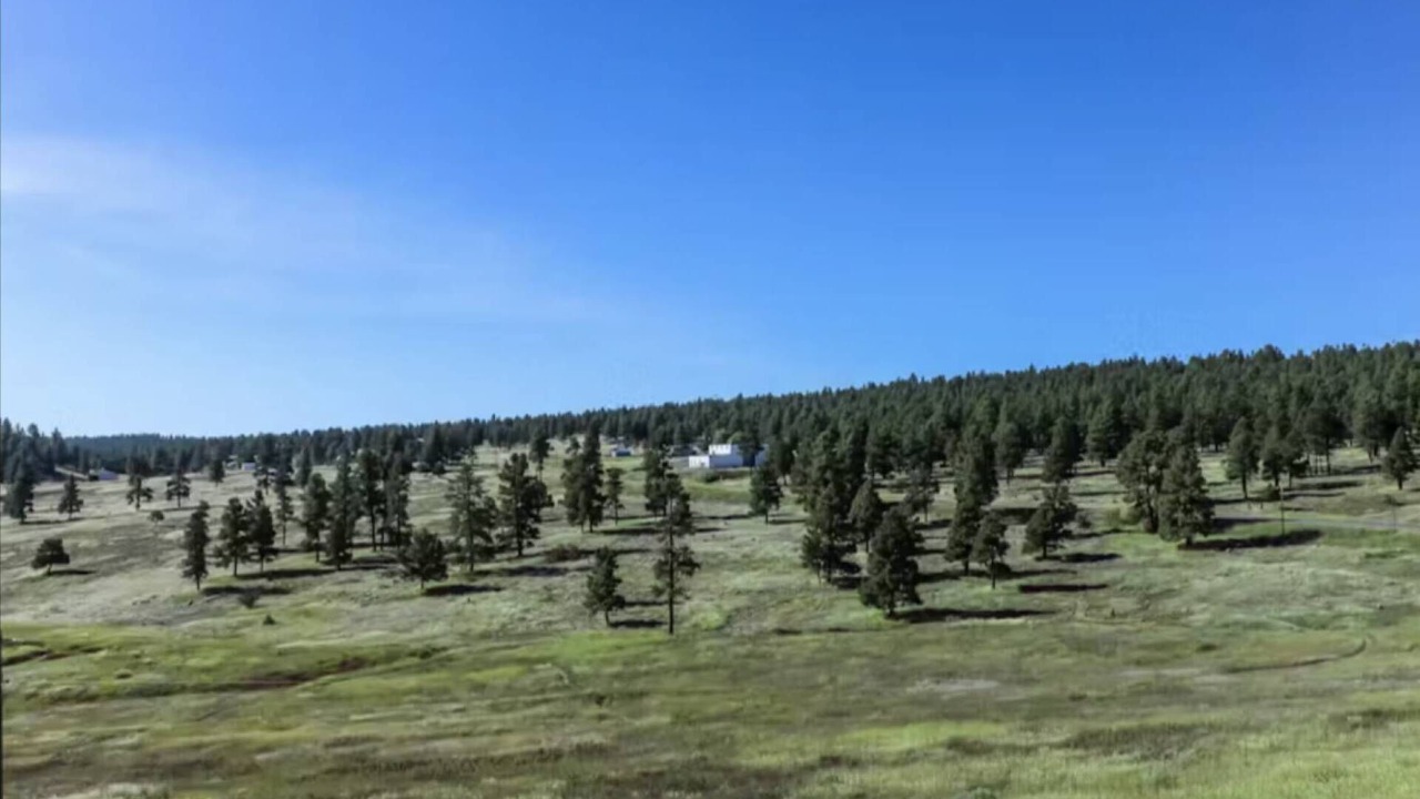 Photo of Others in Pagosa Springs