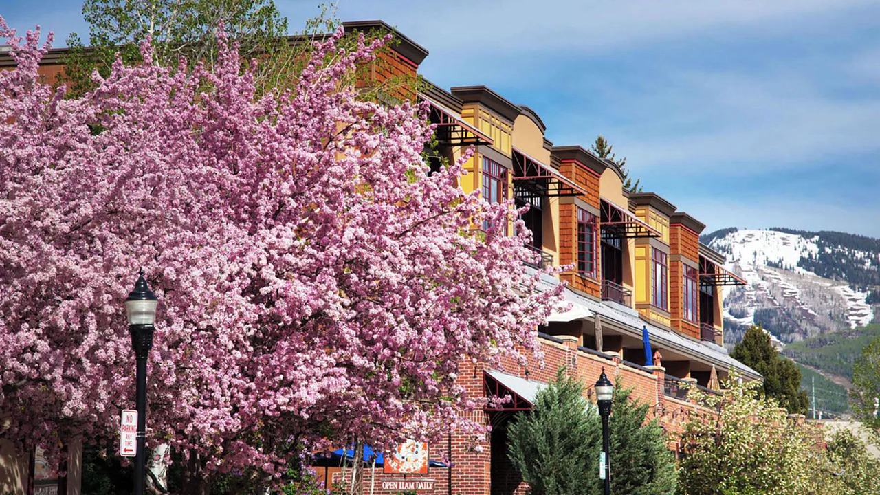 Photo of Outdoor in Steamboat Springs