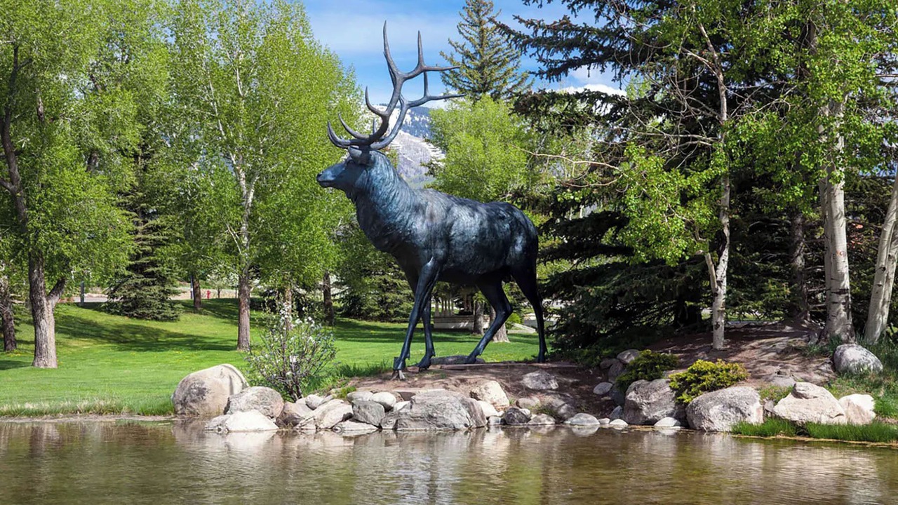 Photo of Others in Steamboat Springs