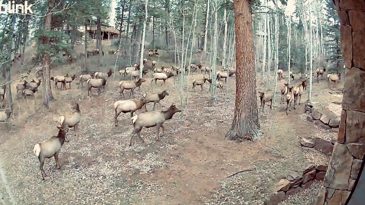 Photo of Others in Cordillera