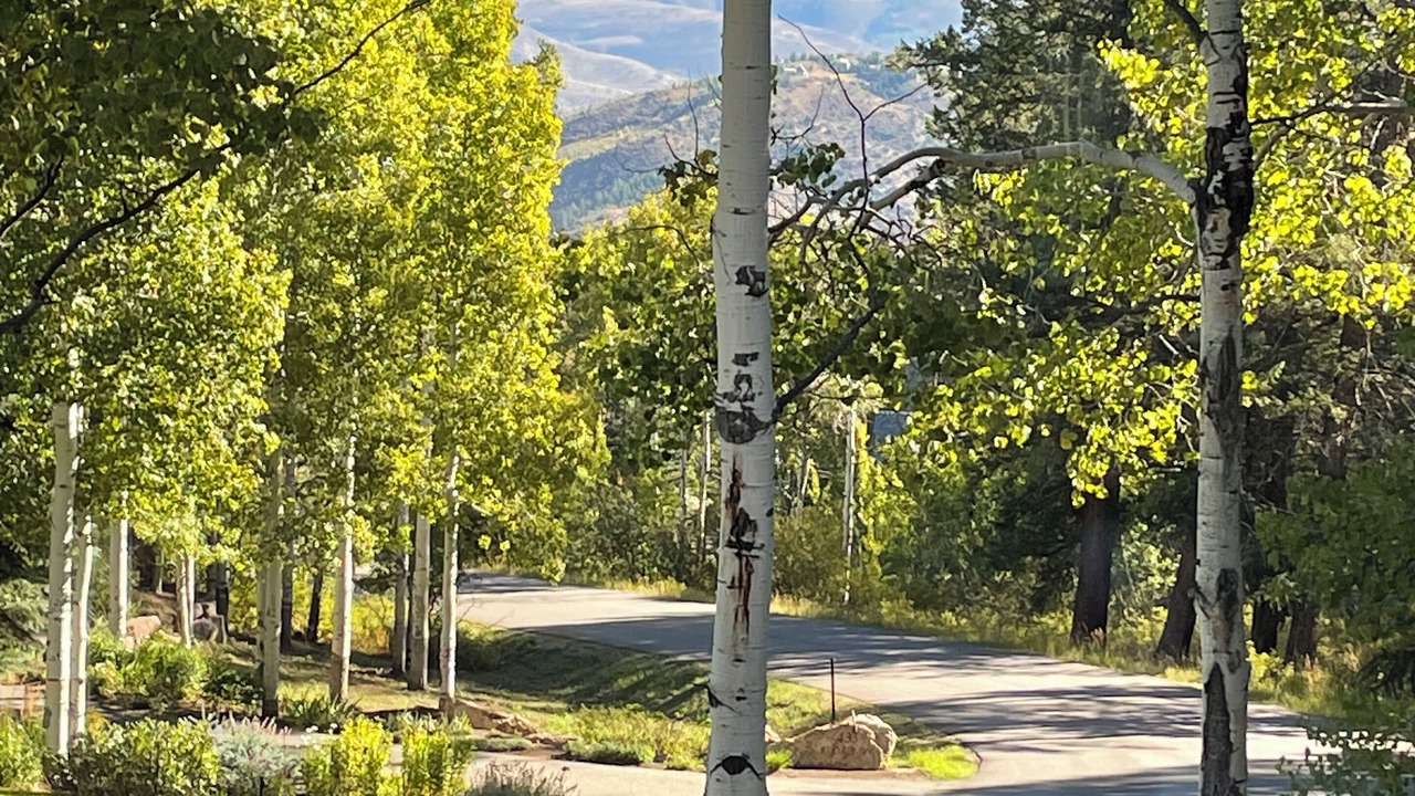 Photo of Outdoor in Cordillera
