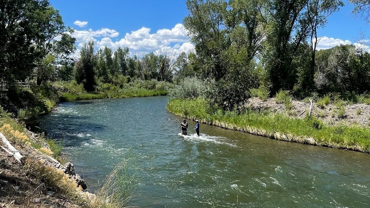 Photo of Outdoor in Montrose