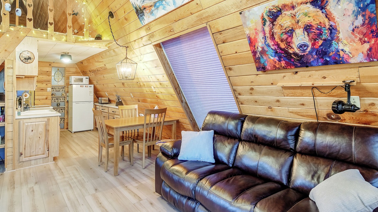 Photo of Livingroom in Indian Mountain