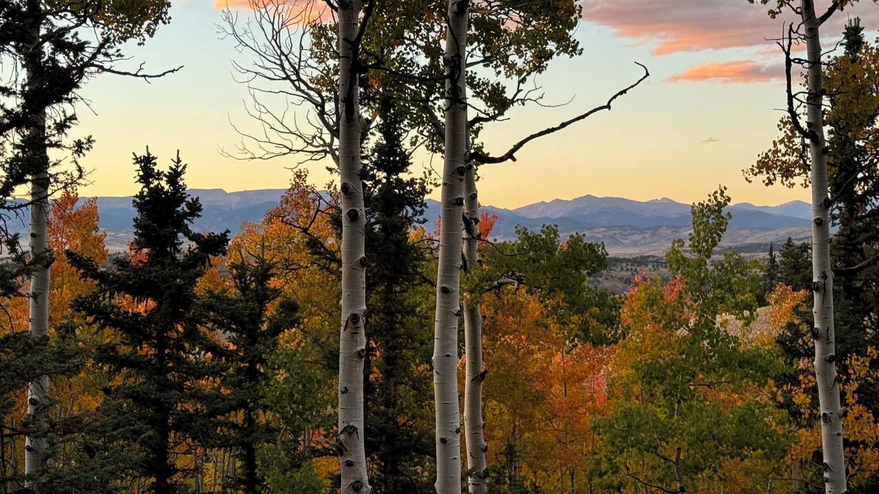 Photo of Others in Indian Mountain