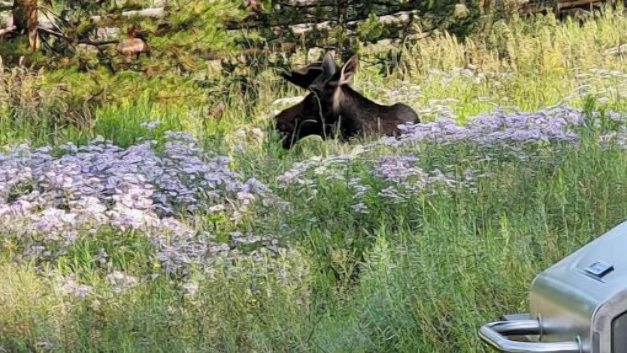 Photo of Others in Silverthorne