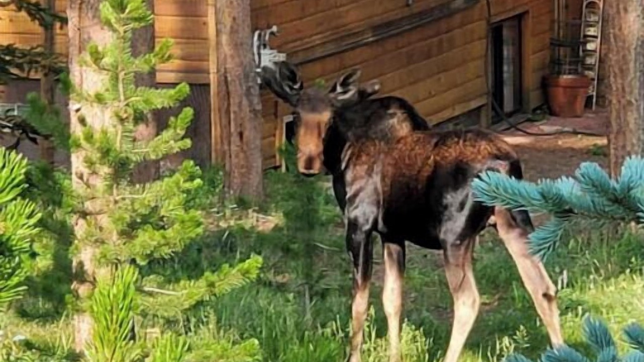 Photo of Others in Silverthorne
