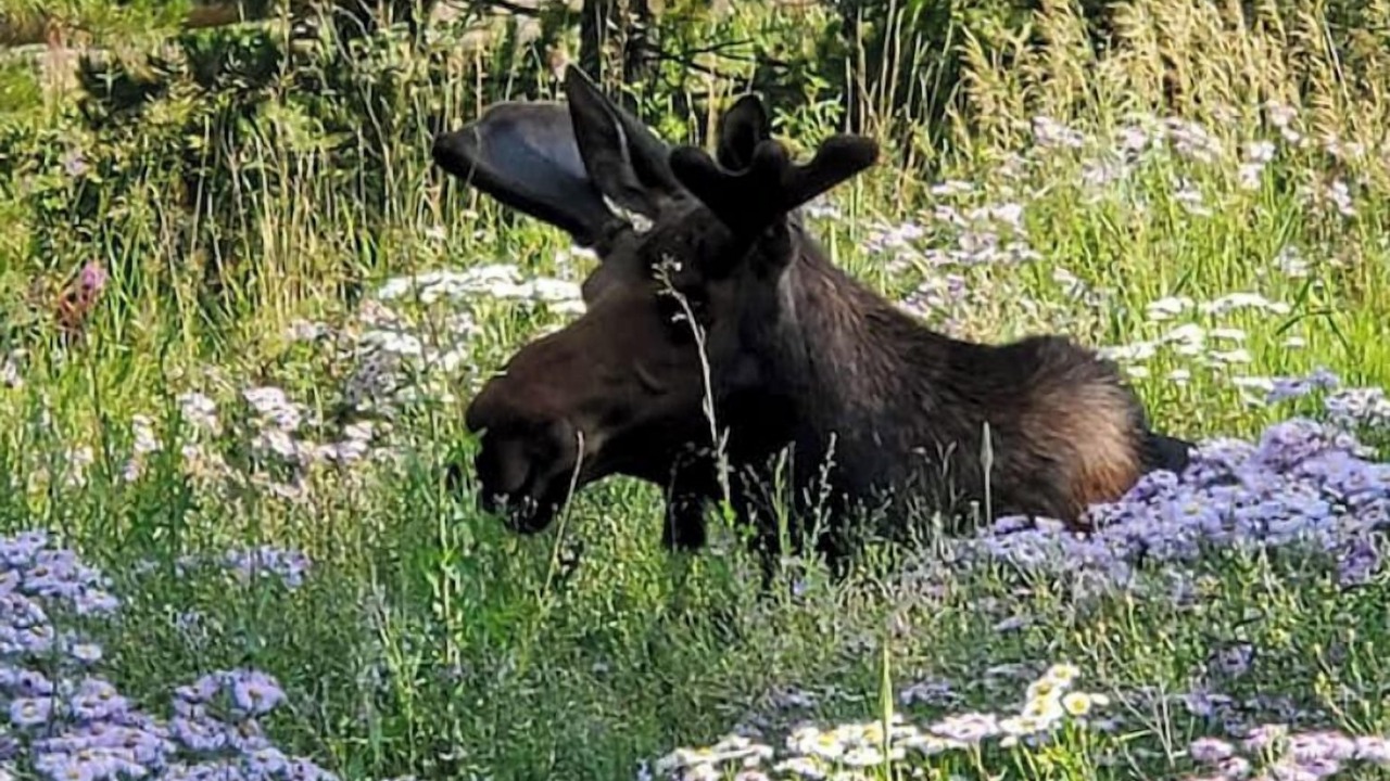 Photo of Others in Silverthorne