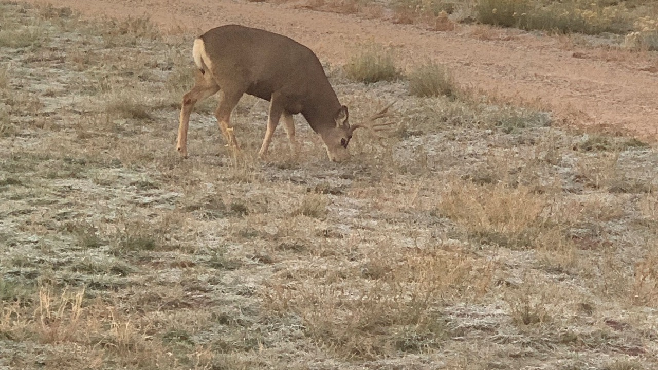 Photo of Others in Glade Park