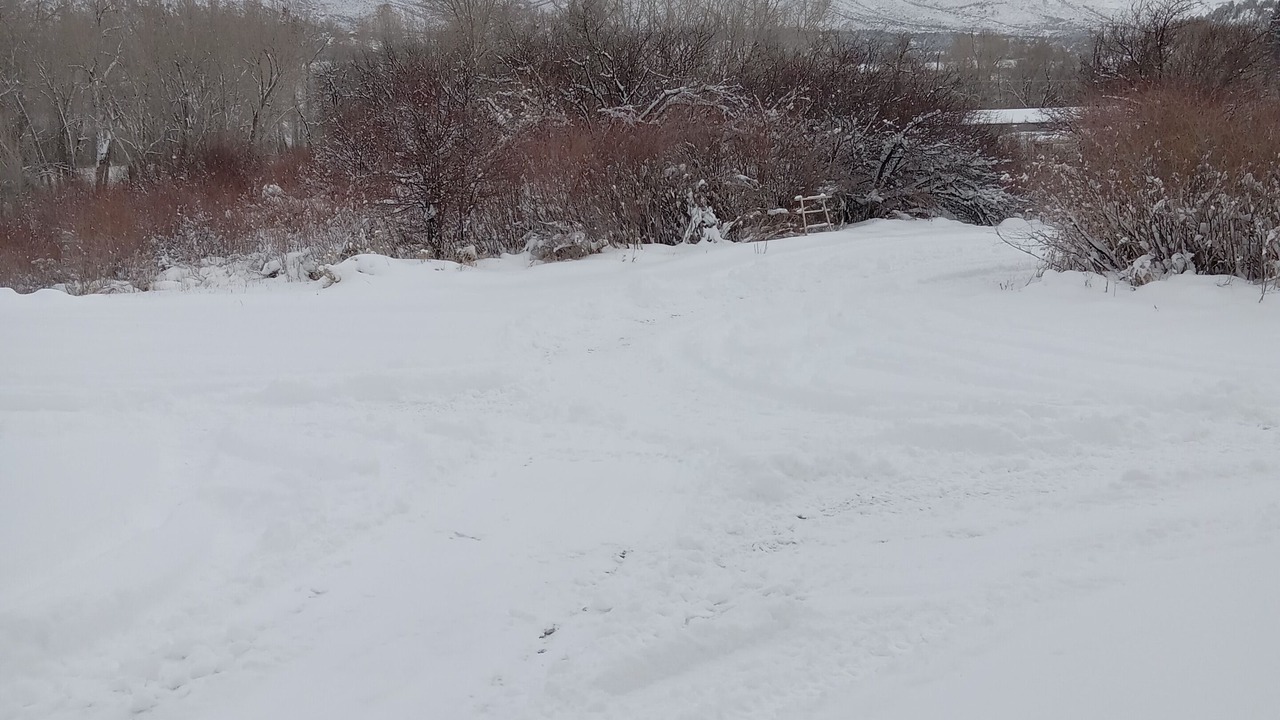Photo of Others in Mancos