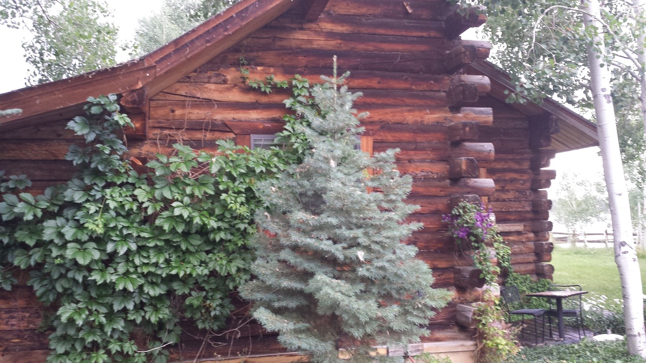 Photo of Others in Pagosa Springs